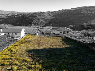/international/pt/vila-nova-de-souto-d-el-rei-viseu-310105188284/