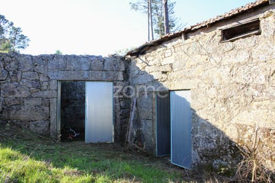 /international/pt/mangualde-viseu-310098533210/
