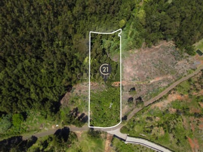 /international/pt/caminho-da-faia-gaula-portugal-ilha-da-madeira-madeira-310107560771/