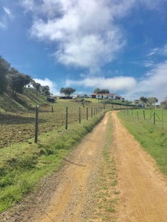 /international/pt/monte-da-capela-de-sao-pedro-sousel-viseu-310108511286/
