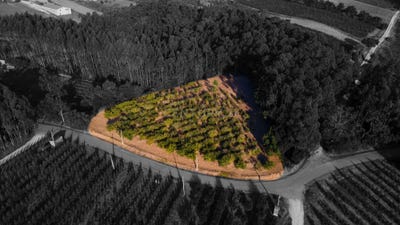 /international/pt/salir-de-matos-portugal-salir-de-matos-leiria-310108305301/
