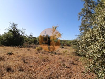 /international/pt/estoi-faro-310105016416/
