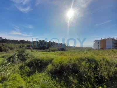 /international/pt/mafra-lisbon-120090408429/