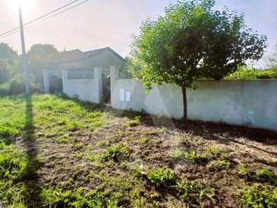 /international/pt/aradas-coimbra-310100276856/