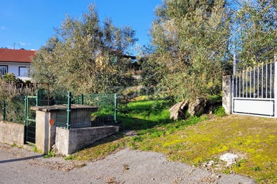 /international/pt/viseu-viseu-310097320290/