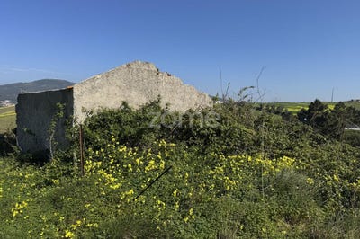/international/pt/mafra-lisbon-310107766202/