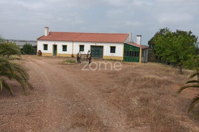 /international/pt/serpa-beja-310100912823/