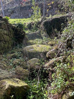 /international/pt/viana-do-castelo-viana-do-castelo-310109015373/