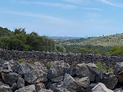 /international/pt/sao-sebastiao-viana-do-castelo-310098112171/