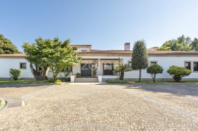 /international/pt/santo-tirso-braga-310101105981/
