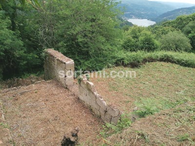 /international/pt/marco-de-canaveses-porto-310107217186/
