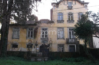 /international/pt/oliveira-de-azemeis-aveiro-310097779757/