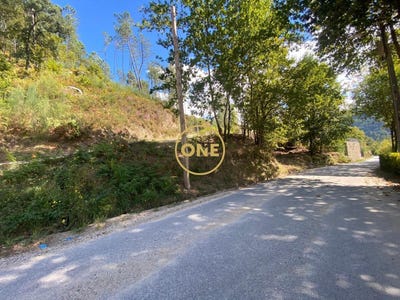 /international/pt/valdosende-braga-310108210652/