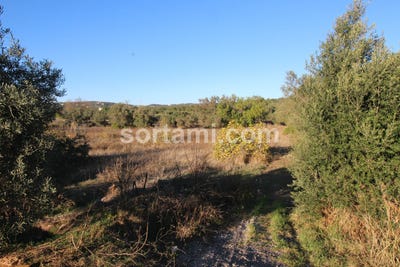 /international/pt/loule-faro-310107217139/