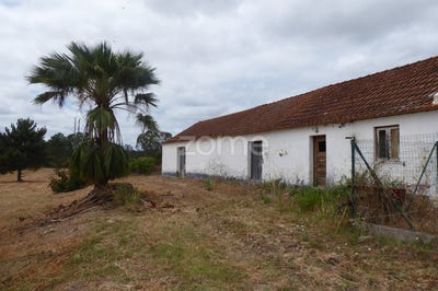 /international/pt/vendas-novas-evora-310100601887/