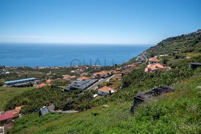/international/pt/arco-da-calheta-madeira-310107295773/