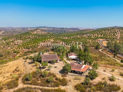 /international/pt/mertola-beja-310108649074/?lang=zh-cn