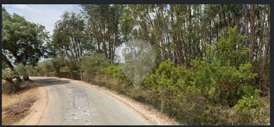 /international/pt/santarem-santarem-310098237456/