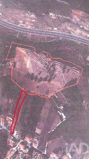 /international/pt/leiria-leiria-310102436482/