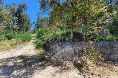 /international/pt/barcelos-braga-120076838145/?lang=zh-tw