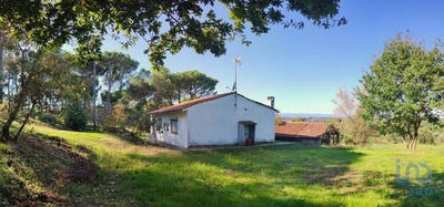 /international/pt/oliveira-do-conde-viseu-310101188034/?lang=de