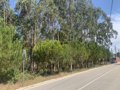 /international/pt/leiria-leiria-310101387968/
