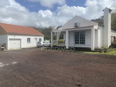 /international/pt/cedros-horta-azores-310099944288/