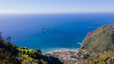 /international/pt/canhas-madeira-310107239700/