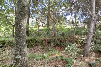 /international/pt/tondela-viseu-310096001385/?lang=de