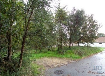 /international/pt/ovar-aveiro-310100830245/