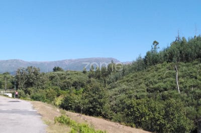/international/pt/seia-guarda-120086290343/