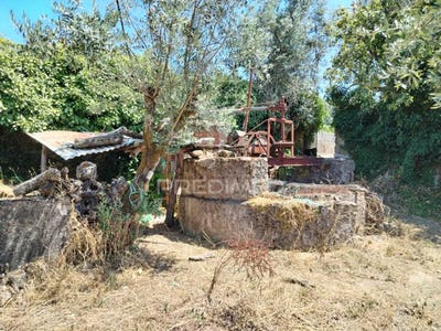 /international/pt/ribeira-de-nisa-e-carreiras-portalegre-portalegre-310101441981/