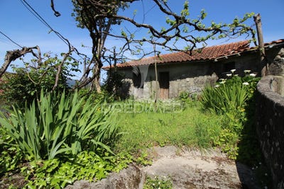 /international/pt/ventosa-e-cova-vieira-do-minho-braga-310098807724/