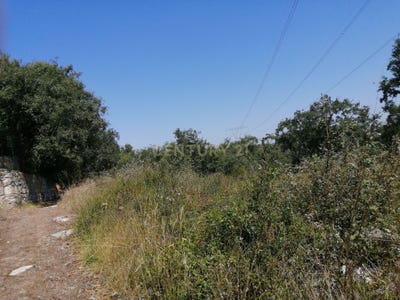 /international/pt/carvalhal-aljubarrota-leiria-310106483082/