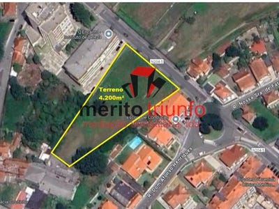 /international/pt/aves-lisbon-310105335574/