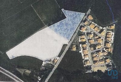 /international/pt/porto-braga-310096188235/