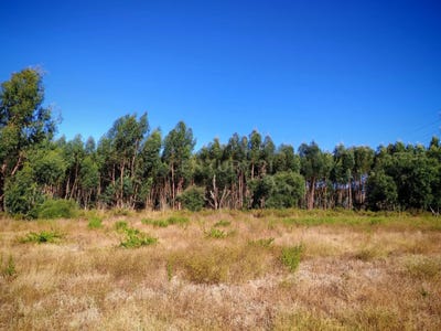 /international/pt/estrada-das-fontainhas-2950-q-ta-do-anjo-portugal-quinta-do-anjo-setubal-municipality-310104336858/