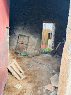 /international/pt/tolosa-nisa-portalegre-310106743959/