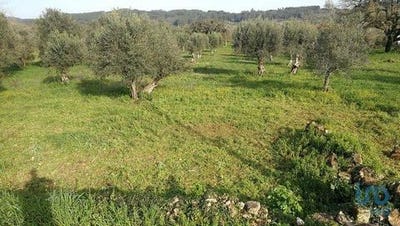 /international/pt/ferreira-do-zezere-santarem-120090232210/
