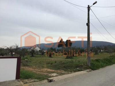/international/pt/pedrogao-santarem-310100488651/