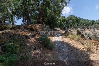 /international/pt/torre-de-moncorvo-braganca-310101994753/