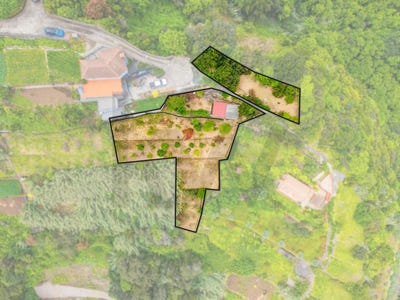 /international/pt/ponta-delgada-madeira-310108633885/