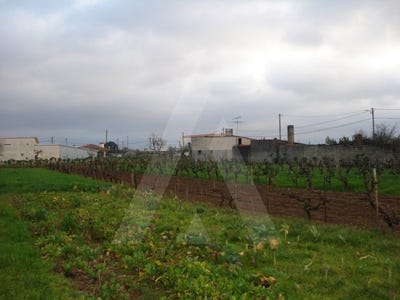 /international/pt/agueda-aveiro-310100275441/