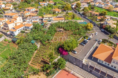 /international/pt/funchal-madeira-120084454802/