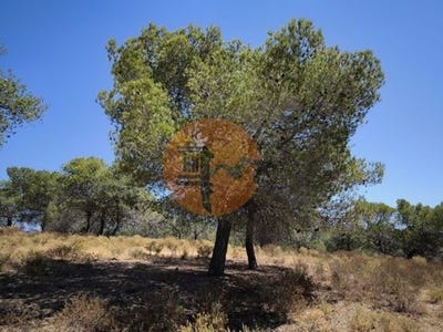 /international/pt/quinta-do-sobral-castro-marim-faro-120093628882/