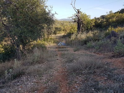 /international/pt/loule-faro-310108283249/