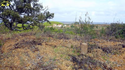 /international/pt/castro-marim-faro-310105818225/