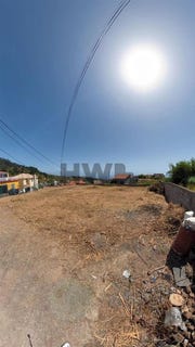 /international/pt/canhas-madeira-310103715920/