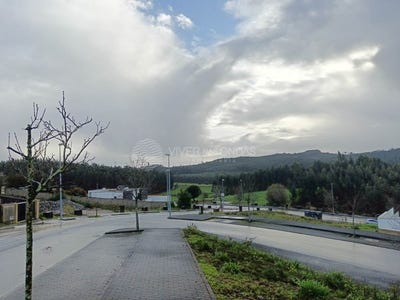 /international/pt/gondifelos-braga-310097749179/