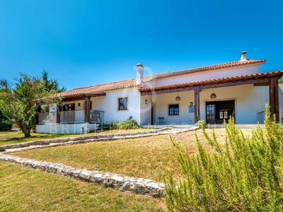 /international/pt/sao-joao-da-ribeira-e-ribeira-de-sao-joao-santarem-310101252267/?lang=it